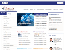 Tablet Screenshot of damlaymm.com